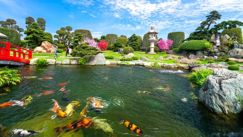 Đá trang trí tiểu cảnh hồ cá sân vườn