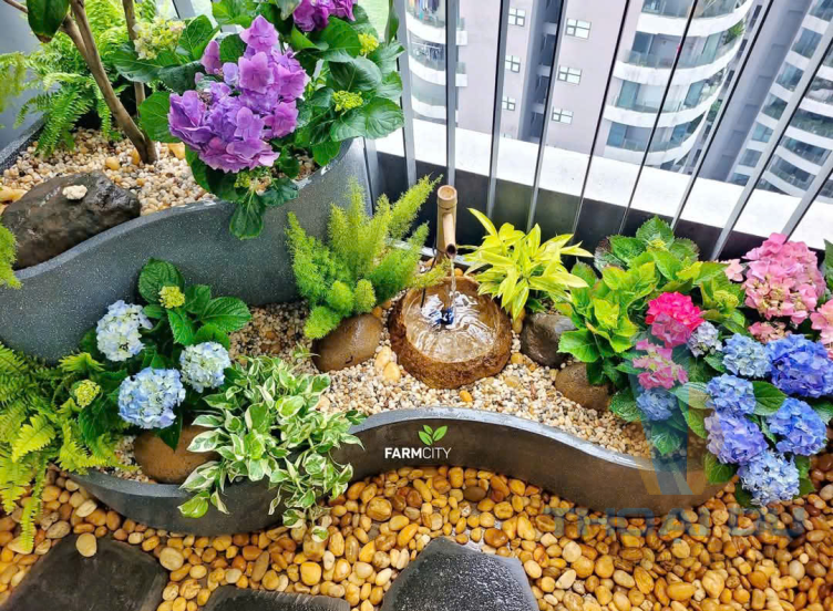 GIỚI THIỆU VỀ CHÚNG TÔI